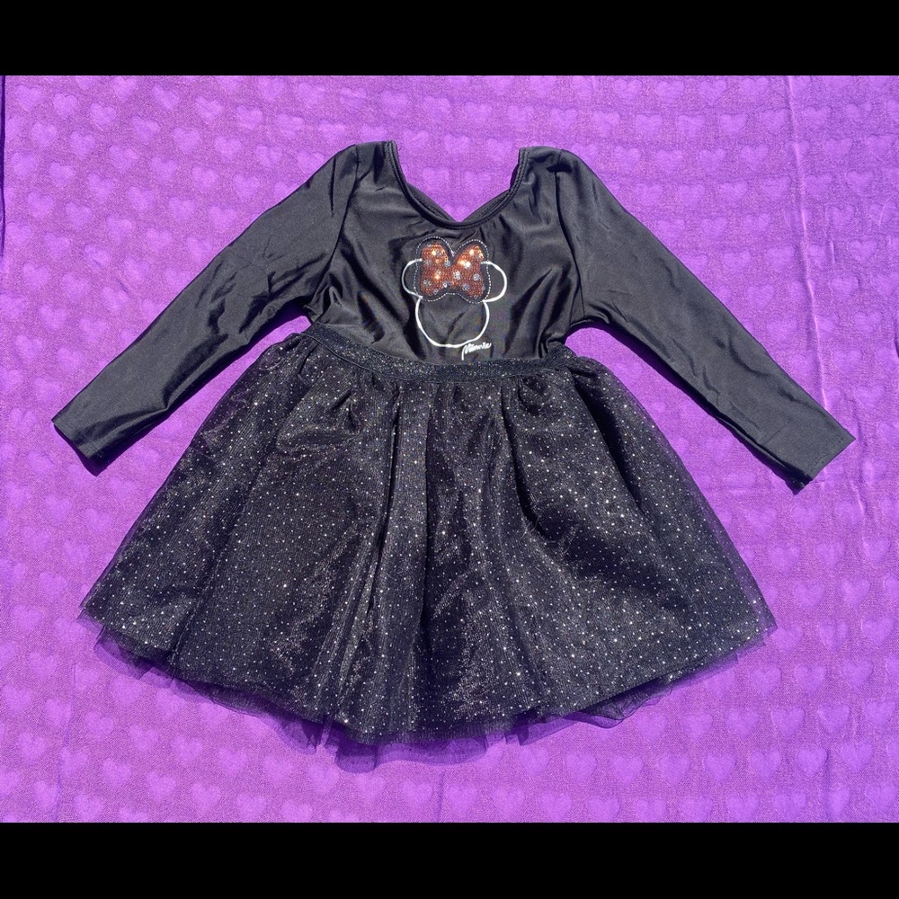 Disney Minnie Mouse 3t Leotard Tutu Dress